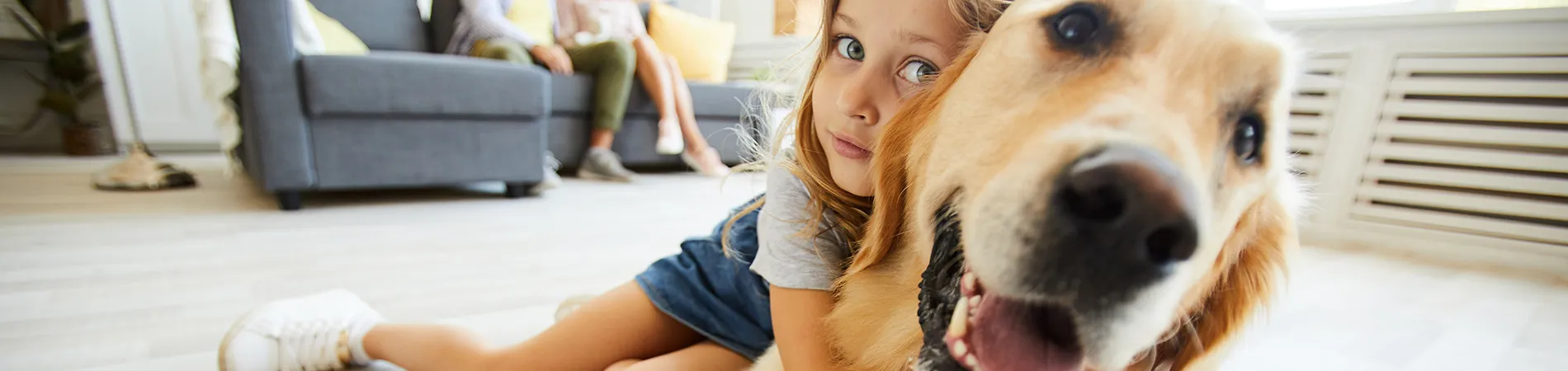 Contact Animar - Cabinet Veterinar